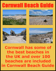 Cornwall Beach Guide Link