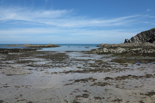 lee bay Photo